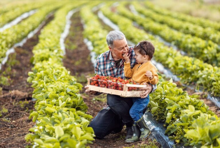 Cueillette de fruits et légumes: 10 adresses à découvrir en famille