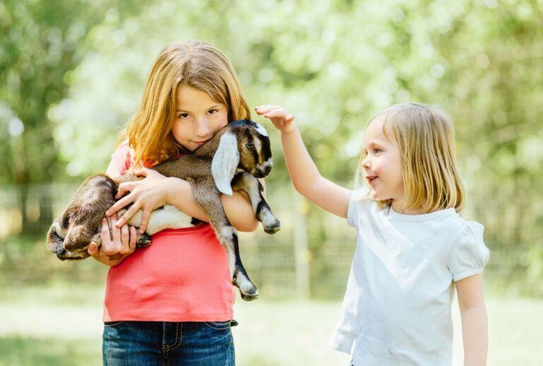 Où voir des animaux avec les enfants