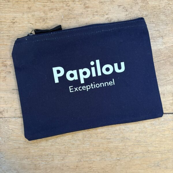 pochette bleu papilou